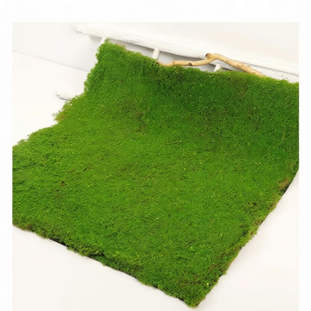 Alas Rumput Sintetis Berbentuk - Preserved Moss Sheet ulasan dan harga