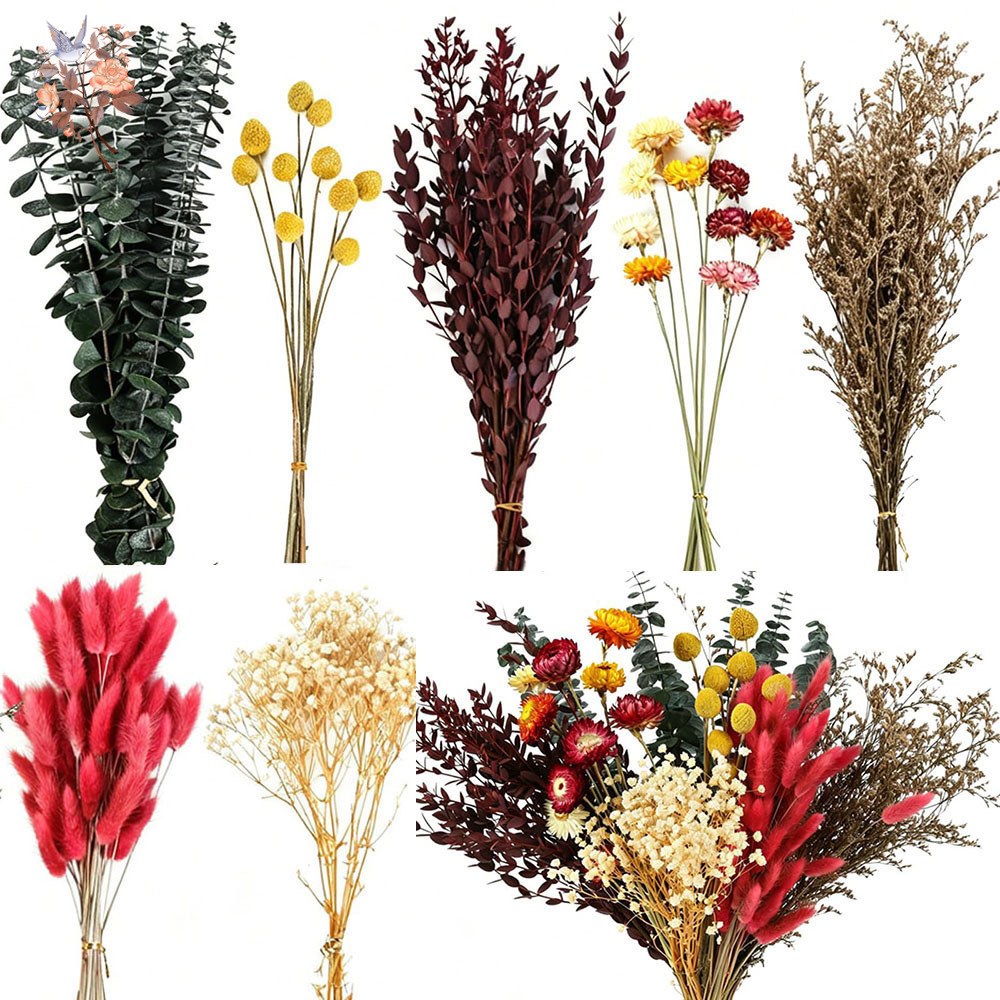 Set Bunga Kering dalam Jumlah  - Florist Flower Supply ulasan dan harga