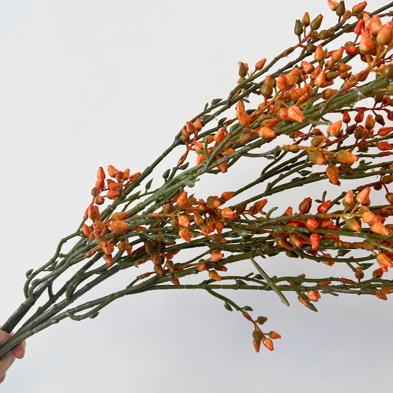 Buah Zaitun Hijau Eucalyptus B - Florist Supply Vases ulasan dan harga
