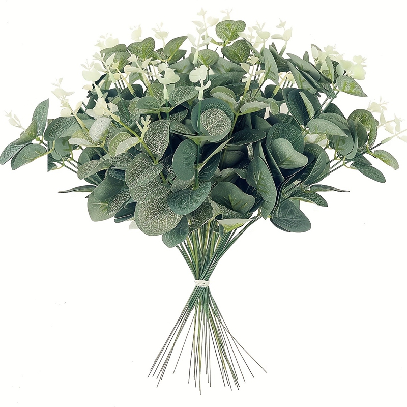 5/10/15 Buah Buket Bunga Eukal - Eucalyptus Preserved ulasan dan harga