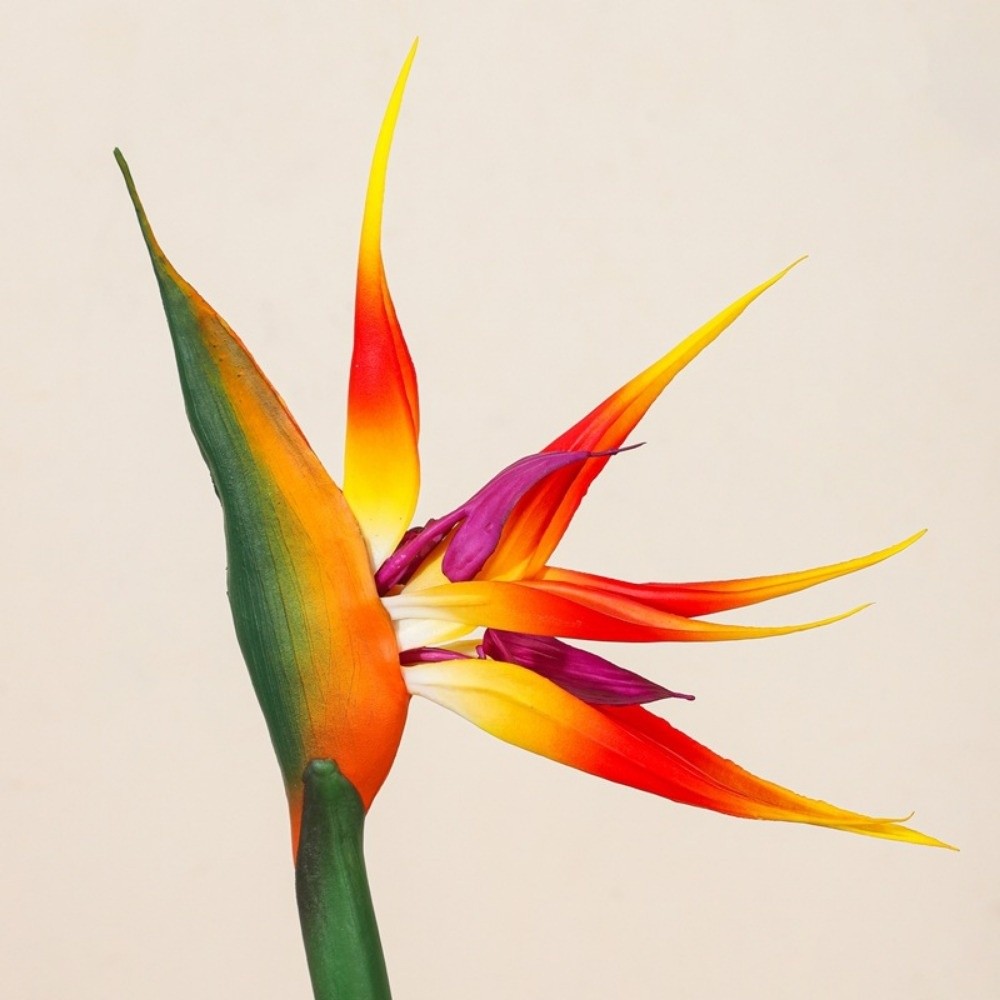 Tanaman Buatan Bird of Paradis - Florist Supply Bulk ulasan dan harga